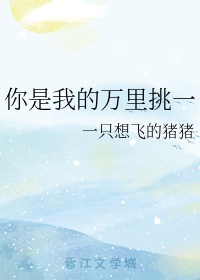 你是我的万里挑一