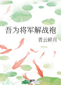 吾为将军解战袍