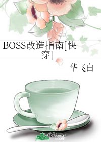 BOSS改造指南[快穿]